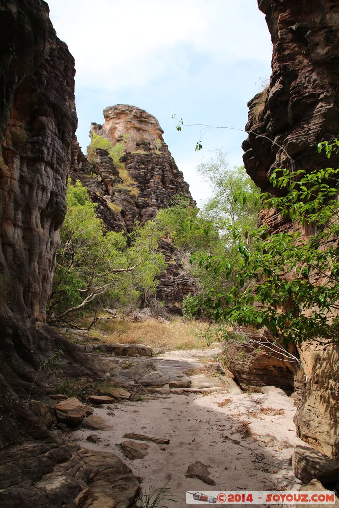 Kakadu National Park - Bardedjilidji walk
Mots-clés: AUS Australie geo:lat=-12.43769700 geo:lon=132.96896300 geotagged Gunbalanya Northern Territory Kakadu National Park patrimoine unesco East Alligator region Bardedjilidji walk