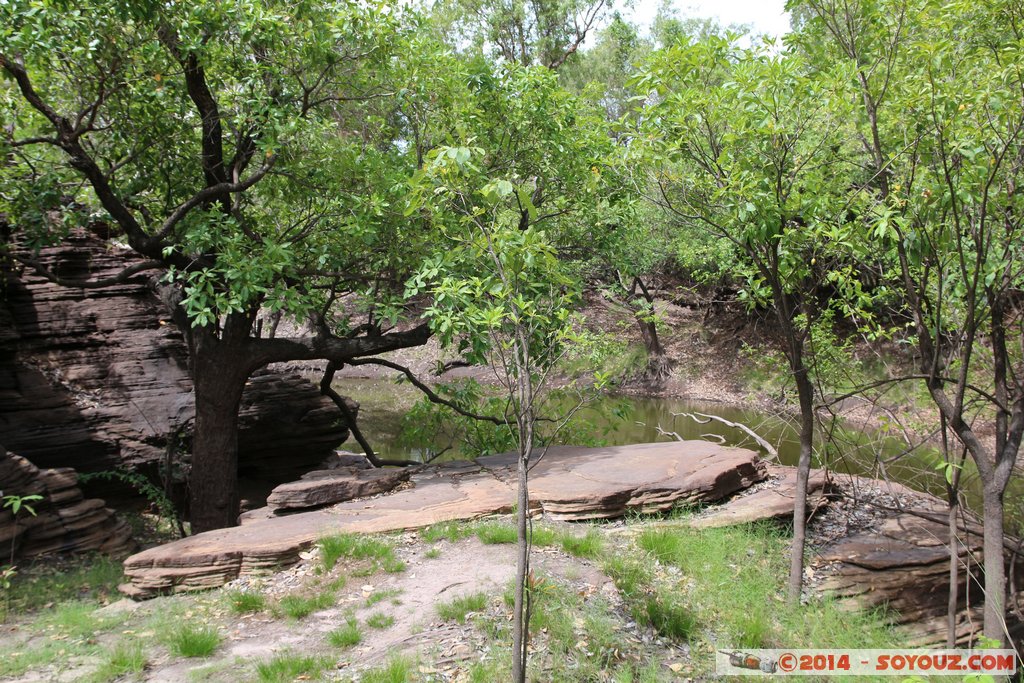 Kakadu National Park - Bardedjilidji walk
Mots-clés: AUS Australie geo:lat=-12.43456900 geo:lon=132.97126100 geotagged Gunbalanya Northern Territory Kakadu National Park patrimoine unesco East Alligator region Bardedjilidji walk