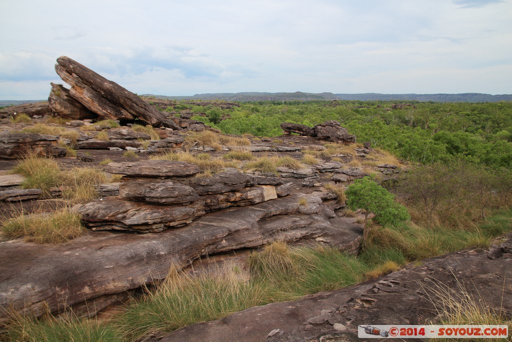 Kakadu National Park - Ubirr - Nadab Lookout
Mots-clés: AUS Australie geo:lat=-12.40868340 geo:lon=132.95450300 geotagged Gunbalanya Northern Territory Kakadu National Park patrimoine unesco East Alligator region Ubirr Nadab Lookout