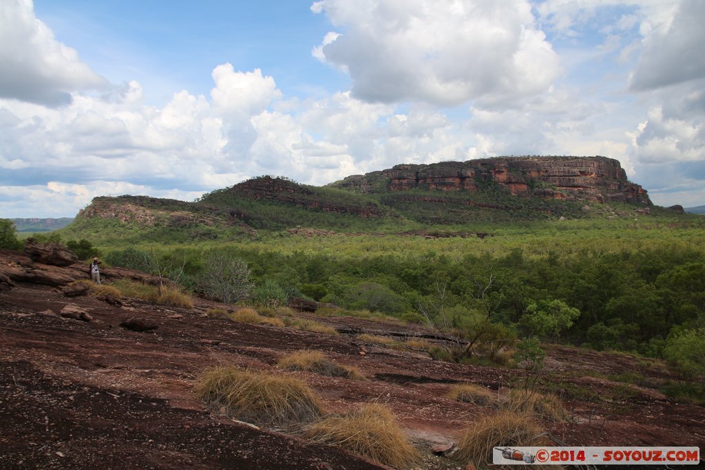 Kakadu National Park - Nawurlandja lookout
Mots-clés: AUS Australie geo:lat=-12.86051989 geo:lon=132.79305933 geotagged Jabiru Northern Territory Kakadu National Park patrimoine unesco Nourlangie Nawurlandja lookout