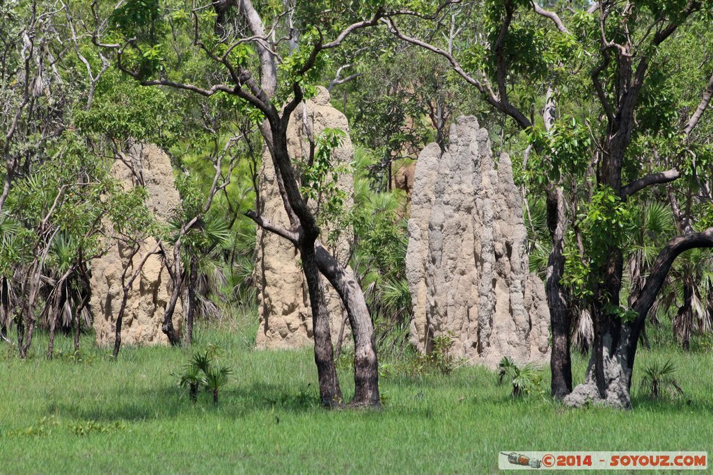 Litchfield National Park - Magnetic Termite Mounds
Mots-clés: AUS Australie geo:lat=-13.10261733 geo:lon=130.84437037 geotagged Northern Territory Litchfield National Park Magnetic Termite Mounds
