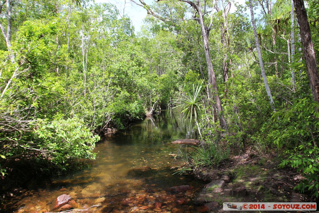 Litchfield National Park - Florence Falls
Mots-clés: AUS Australie geo:lat=-13.09852360 geo:lon=130.78318620 geotagged Northern Territory Litchfield National Park Florence Falls cascade
