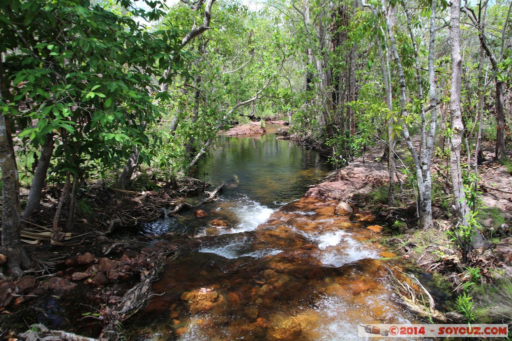 Litchfield National Park - Florence Falls
Mots-clés: AUS Australie geo:lat=-13.10062200 geo:lon=130.78467200 geotagged Northern Territory Litchfield National Park Florence Falls