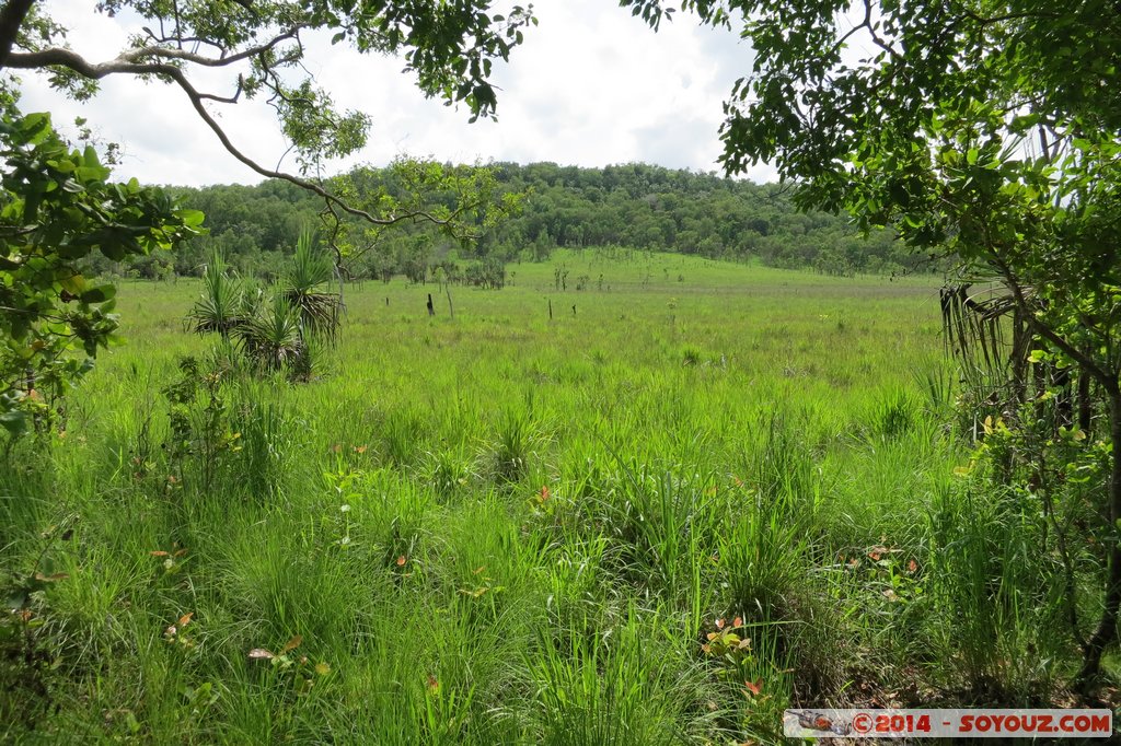 Litchfield National Park
Mots-clés: AUS Australie geo:lat=-13.12731467 geo:lon=130.66237200 geotagged Northern Territory Litchfield National Park