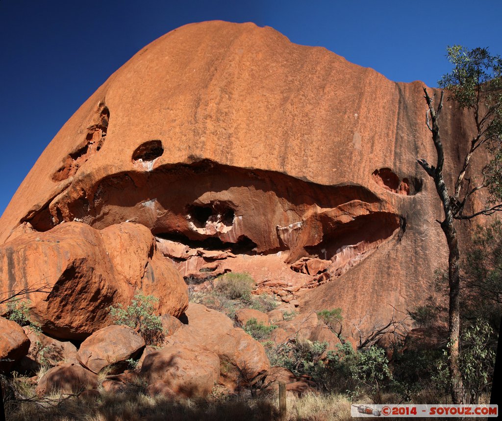 Ayers Rock / Uluru - Kuniya Walk
Stitched Panorama
Mots-clés: AUS Australie Ayers Rock geo:lat=-25.35377000 geo:lon=131.03171120 geotagged Northern Territory Uluru - Kata Tjuta National Park patrimoine unesco uluru Ayers rock Kuniya Walk animiste
