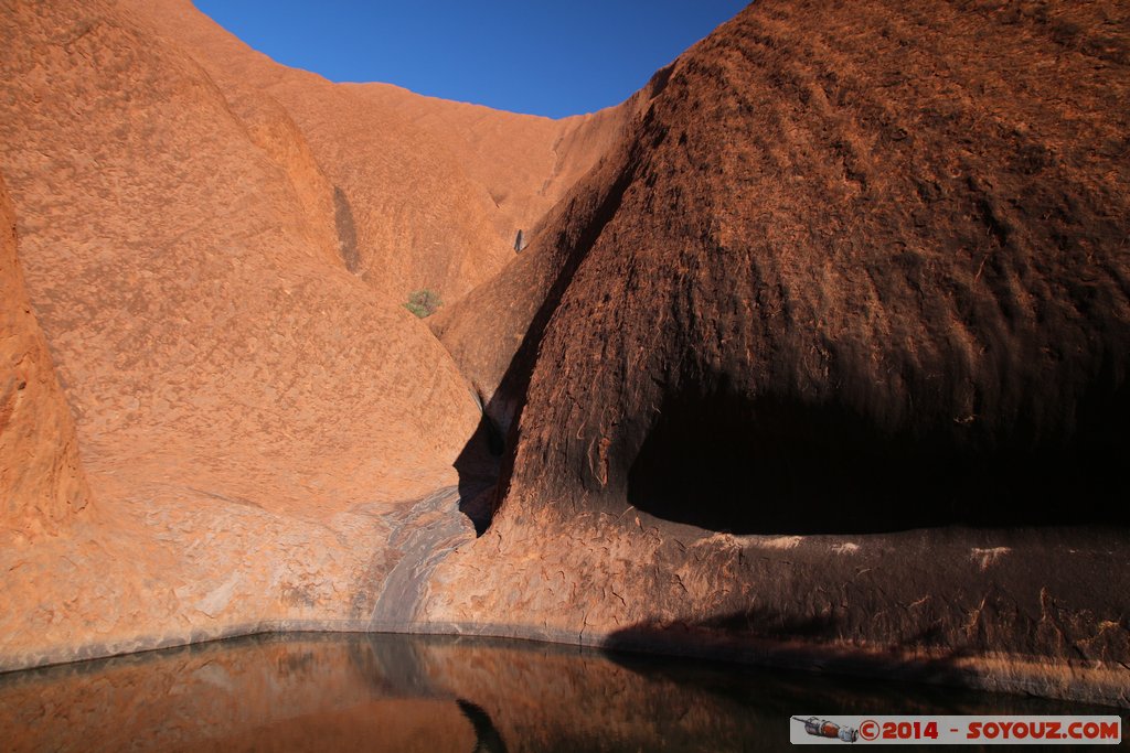 Ayers Rock / Uluru - Kuniya Walk - Mutitjulu Watherhole
Mots-clés: AUS Australie Ayers Rock geo:lat=-25.35109935 geo:lon=131.03275870 geotagged Northern Territory Uluru - Kata Tjuta National Park patrimoine unesco uluru Ayers rock Kuniya Walk Mutitjulu Watherhole animiste