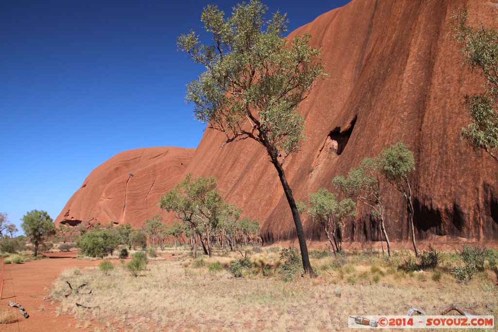 Ayers Rock / Uluru - Base Walk
Mots-clés: AUS Australie Ayers Rock geo:lat=-25.35143360 geo:lon=131.03962060 geotagged Northern Territory Uluru - Kata Tjuta National Park patrimoine unesco uluru Ayers rock Base Walk animiste