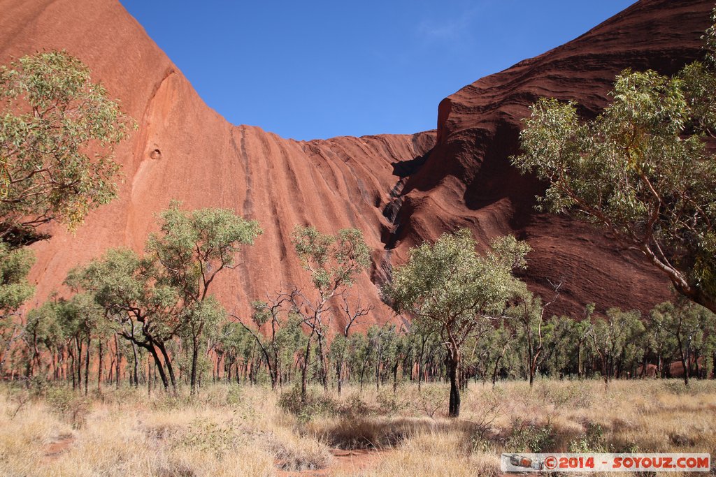 Ayers Rock / Uluru - Base Walk
Mots-clés: AUS Australie Ayers Rock geo:lat=-25.35145450 geo:lon=131.04119100 geotagged Northern Territory Uluru - Kata Tjuta National Park patrimoine unesco uluru Ayers rock Base Walk animiste