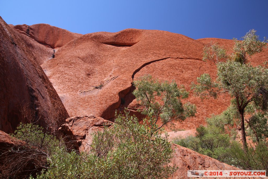 Ayers Rock / Uluru - Mala Walk
Mots-clés: AUS Australie Ayers Rock geo:lat=-25.34291800 geo:lon=131.02401700 geotagged Northern Territory Uluru - Kata Tjuta National Park patrimoine unesco uluru Ayers rock Mala Walk animiste