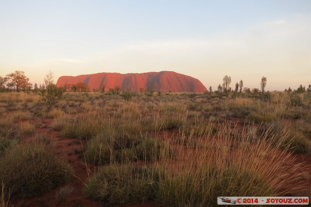 Ayers Rock / Uluru - Sunrise
Mots-clés: AUS Australie Ayers Rock geo:lat=-25.36894000 geo:lon=131.06290300 geotagged Northern Territory Uluru - Kata Tjuta National Park patrimoine unesco uluru Ayers rock sunset animiste