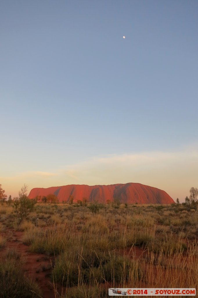Ayers Rock / Uluru and Moon - Sunrise
Mots-clés: AUS Australie Ayers Rock geo:lat=-25.36885245 geo:lon=131.06286600 geotagged Northern Territory Uluru - Kata Tjuta National Park patrimoine unesco uluru Ayers rock sunset Lune animiste