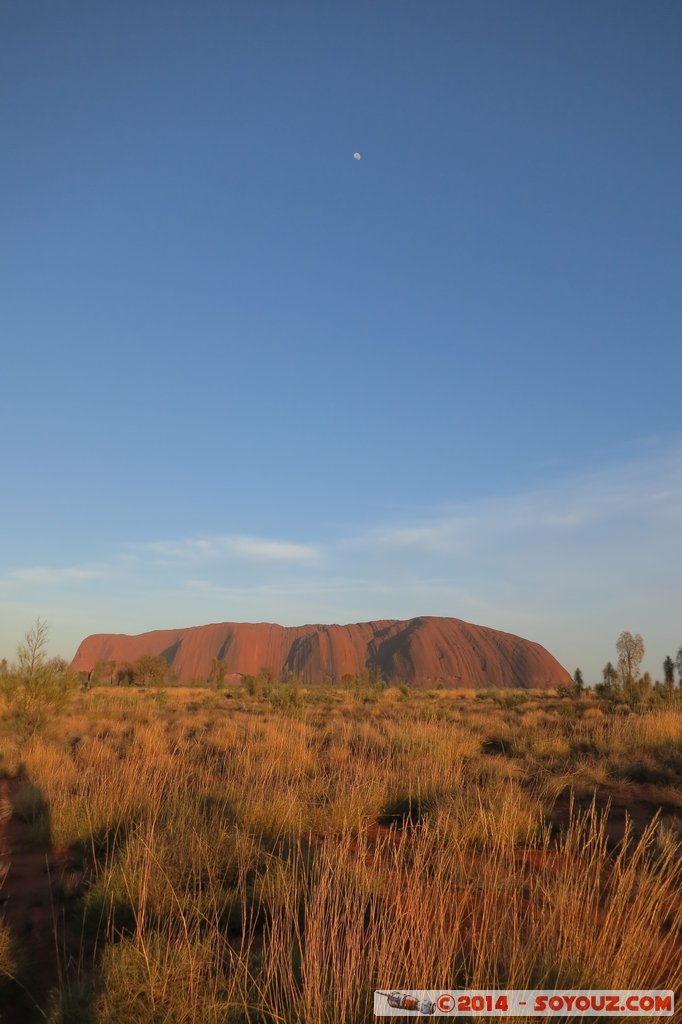 Ayers Rock / Uluru and Moon - Sunrise
Mots-clés: AUS Australie Ayers Rock geo:lat=-25.36886558 geo:lon=131.06281785 geotagged Northern Territory Uluru - Kata Tjuta National Park patrimoine unesco uluru Ayers rock sunset Lune animiste