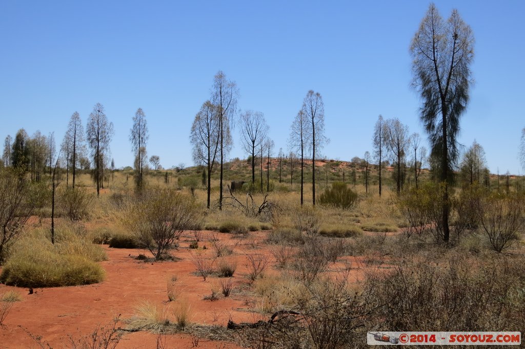 Yulara
Mots-clés: AUS Australie geo:lat=-25.24146927 geo:lon=130.98509520 geotagged Northern Territory Yulara