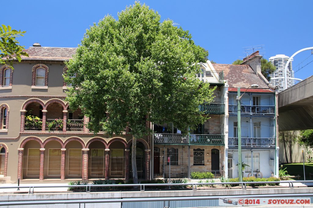 Sydney - Royal Botanic Gardens
Mots-clés: AUS Australie geo:lat=-33.87017200 geo:lon=151.21757800 geotagged New South Wales Woolloomooloo Sydney