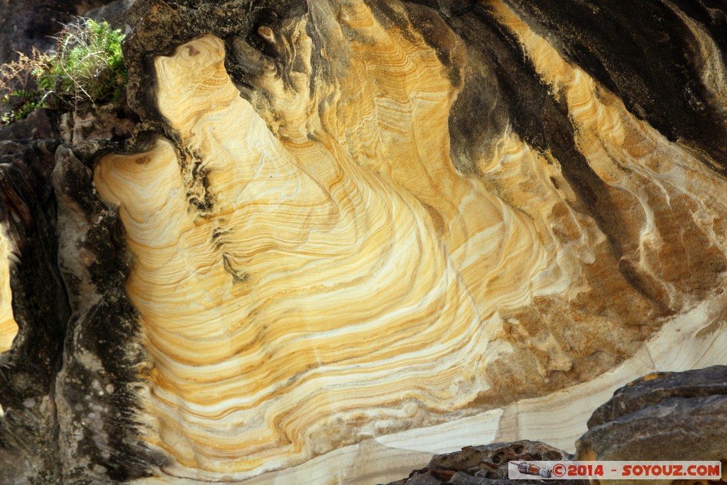 Bondi - Tamarama Beach
Mots-clés: AUS Australie geo:lat=-33.89982920 geo:lon=151.27016180 geotagged New South Wales Tamarama Tamarama Beach