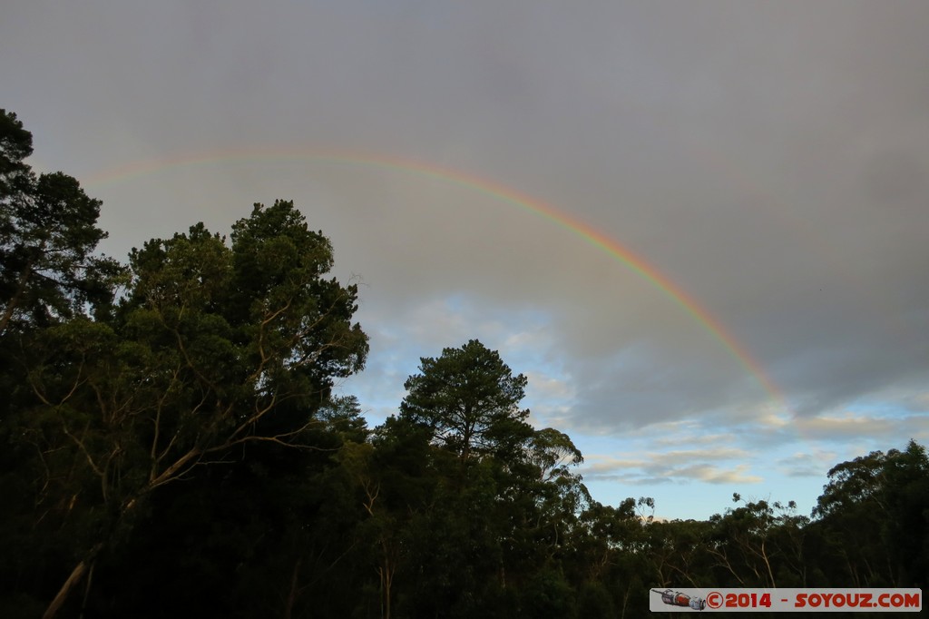 Melbourne - Nunawading - Eastlink Trail
Mots-clés: AUS Australie geo:lat=-37.80127180 geo:lon=145.19718840 geotagged Mitcham Victoria