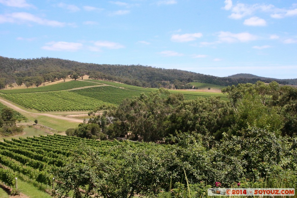 Yarra Valley - Dixons Creek
Mots-clés: AUS Australie Dixons Creek geo:lat=-37.59664623 geo:lon=145.41216246 geotagged Victoria vignes