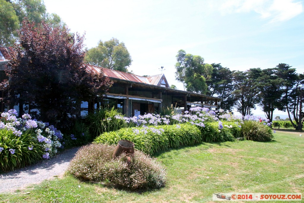 Yarra Valley - Yering Farm Wines
Mots-clés: AUS Australie geo:lat=-37.69743000 geo:lon=145.39078000 geotagged Victoria Yering