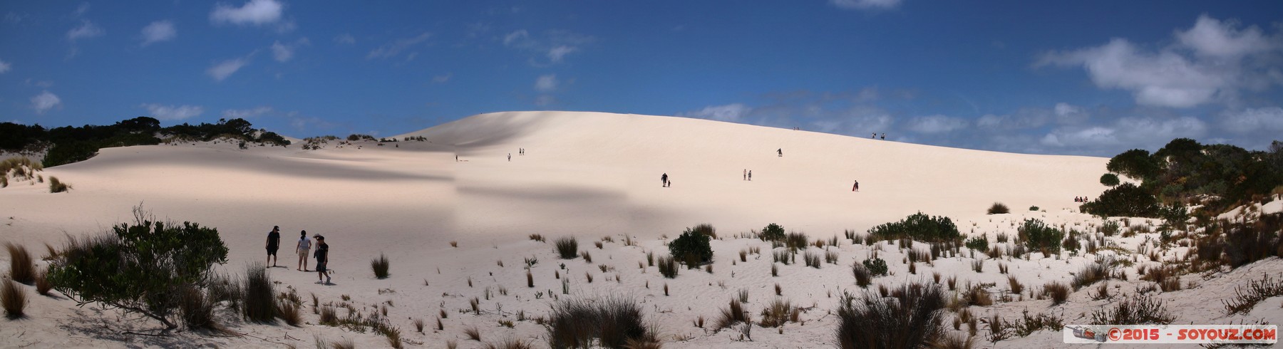 Kangaroo Island - Little Sahara
Stitched Panorama
Mots-clés: AUS Australie geo:lat=-35.95039675 geo:lon=137.24412625 geotagged Seddon South Australia Kangaroo Island Little Sahara