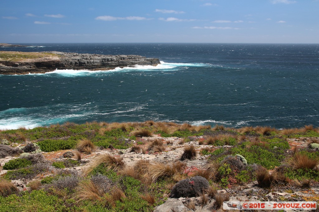 Kangaroo Island - Admirals Arch
Mots-clés: AUS Australie geo:lat=-36.06300069 geo:lon=136.70446538 geotagged State of South Australia South Australia Kangaroo Island Admirals Arch Flinders Chase National Park mer