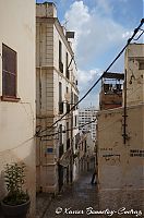 DSC06307.JPG