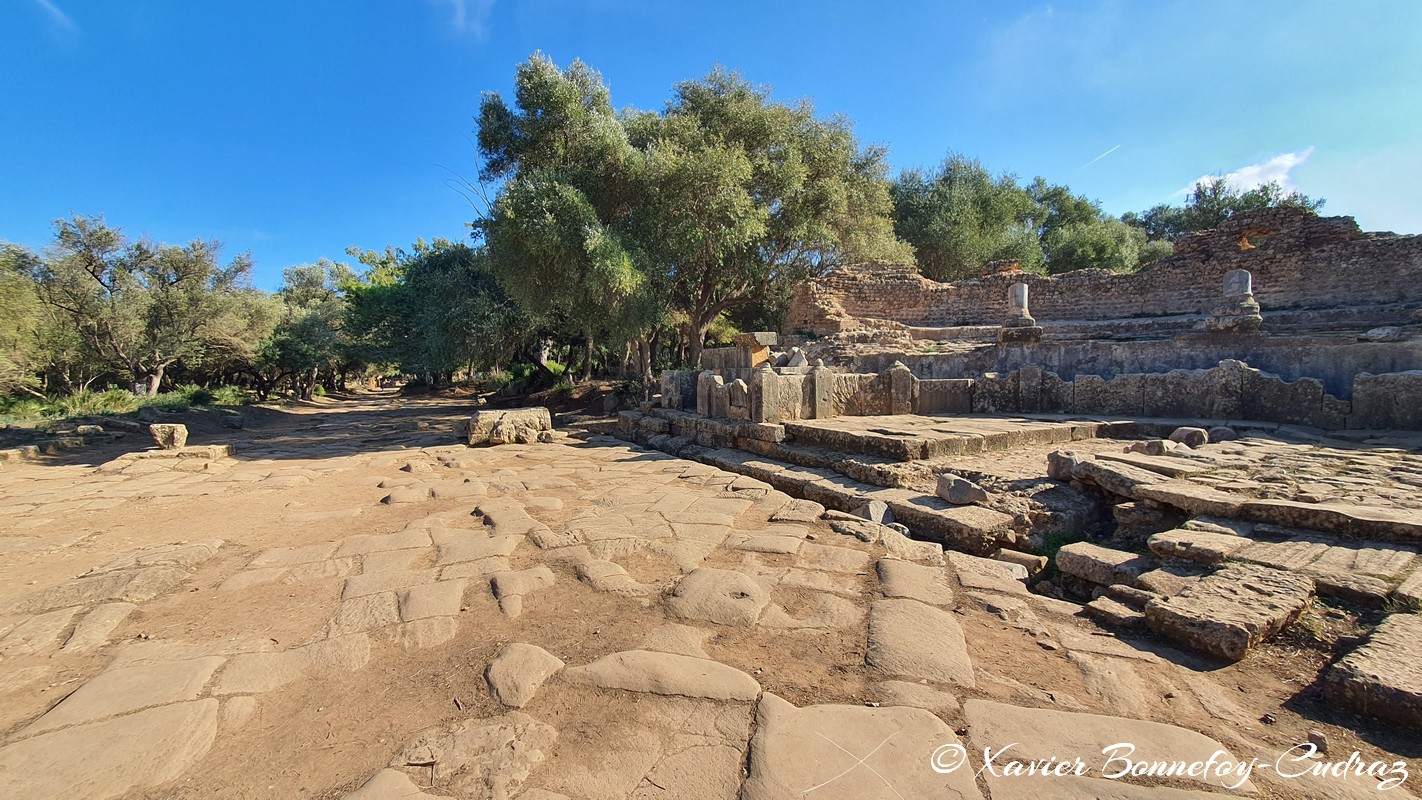 Tipaza - Ruines de Tipasa - Nymphée
Mots-clés: Algérie Douar Essarhane DZA geo:lat=36.59272515 geo:lon=2.44277626 geotagged Tipasa Tipaza DZ patrimoine unesco Ruines romaines Nymphée