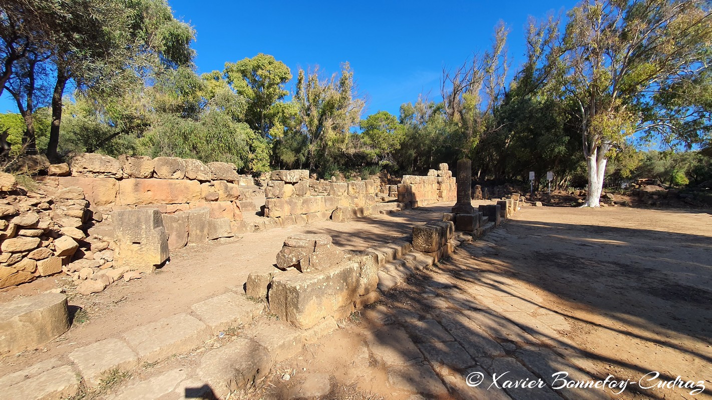 Tipaza - Ruines de Tipasa - Le nouveau temple
Mots-clés: Algérie Bekheira DZA geo:lat=36.59363608 geo:lon=2.44464576 geotagged Tipasa Tipaza DZ patrimoine unesco Ruines romaines Le nouveau temple