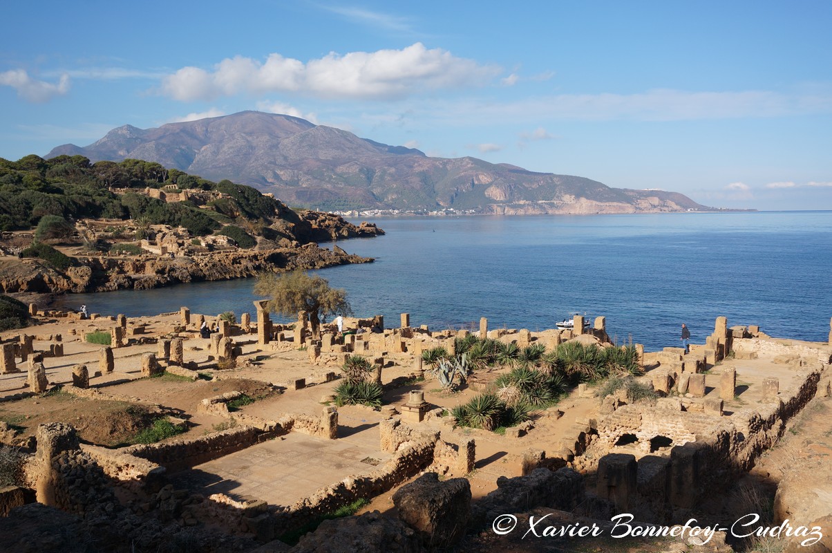 Tipaza - Ruines de Tipasa - La villa des fresques
Mots-clés: Algérie Douar Essarhane DZA geo:lat=36.59464919 geo:lon=2.44420976 geotagged Tipasa Tipaza DZ patrimoine unesco Ruines romaines Mer La villa des fresques