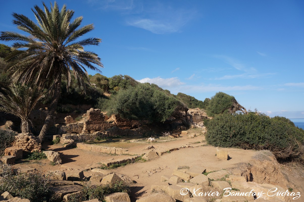 Tipaza - Ruines de Tipasa
Mots-clés: Algérie Douar Essarhane DZA geo:lat=36.59427760 geo:lon=2.44261676 geotagged Tipasa Tipaza DZ patrimoine unesco Ruines romaines