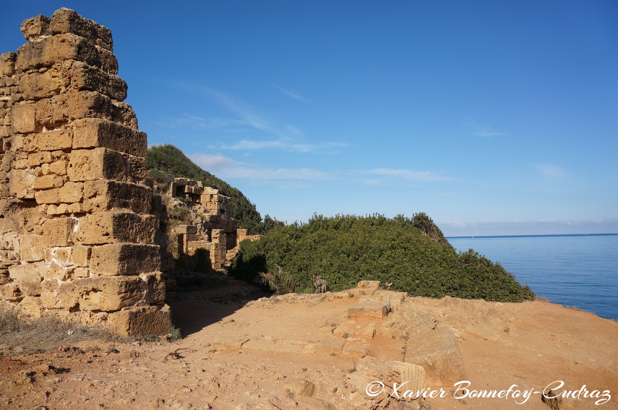 Tipaza - Ruines de Tipasa - Mausolée
Mots-clés: Algérie Douar Essarhane DZA geo:lat=36.59481550 geo:lon=2.44127382 geotagged Tipasa Tipaza DZ patrimoine unesco Ruines romaines Mausolée