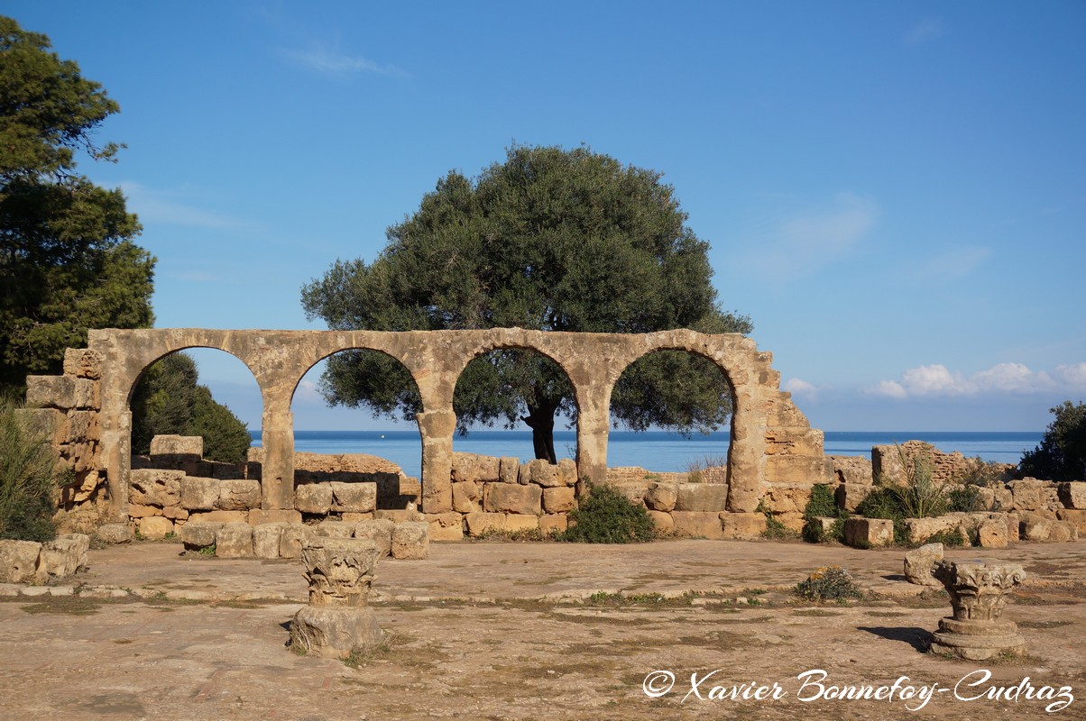 Tipaza - Ruines de Tipasa - La basilique
Mots-clés: Algérie Douar Essarhane DZA geo:lat=36.59480000 geo:lon=2.44064760 geotagged Tipasa Tipaza DZ patrimoine unesco Ruines romaines La basilique