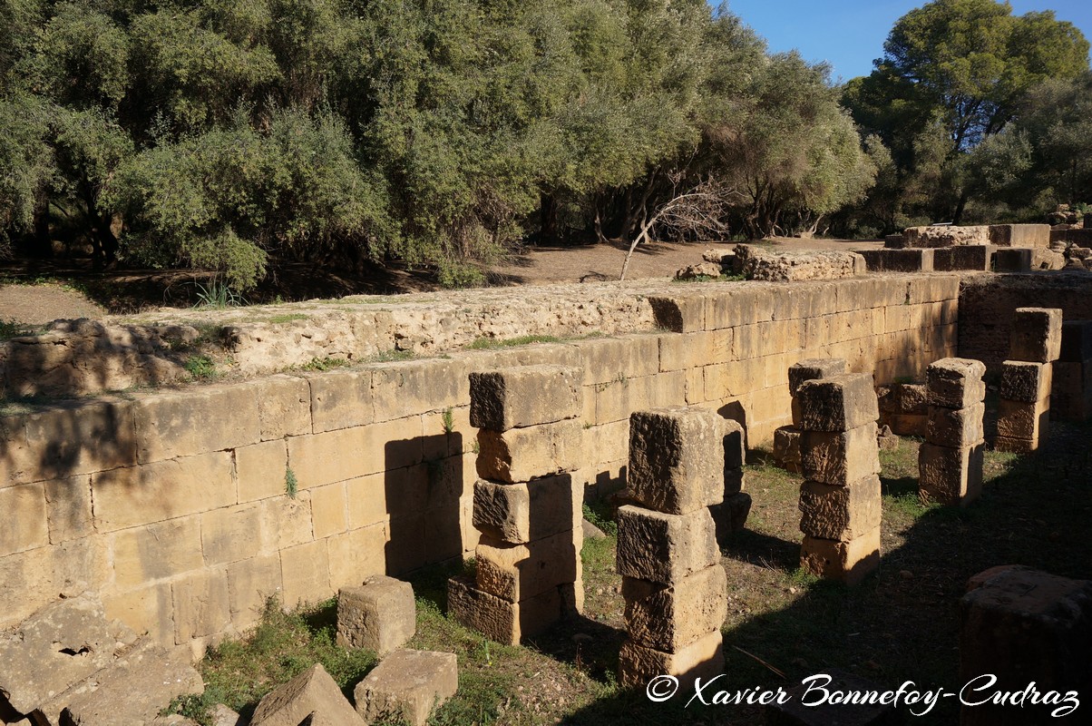 Tipaza - Ruines de Tipasa - Theatre
Mots-clés: Algérie Douar Essarhane DZA geo:lat=36.59267470 geo:lon=2.44158834 geotagged Tipasa Tipaza DZ patrimoine unesco Ruines romaines Theatre