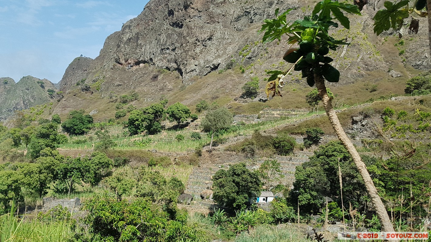 Santo Antao - Ribeira do Paul
Mots-clés: Santo Antao Ribeira do Paul Montagne