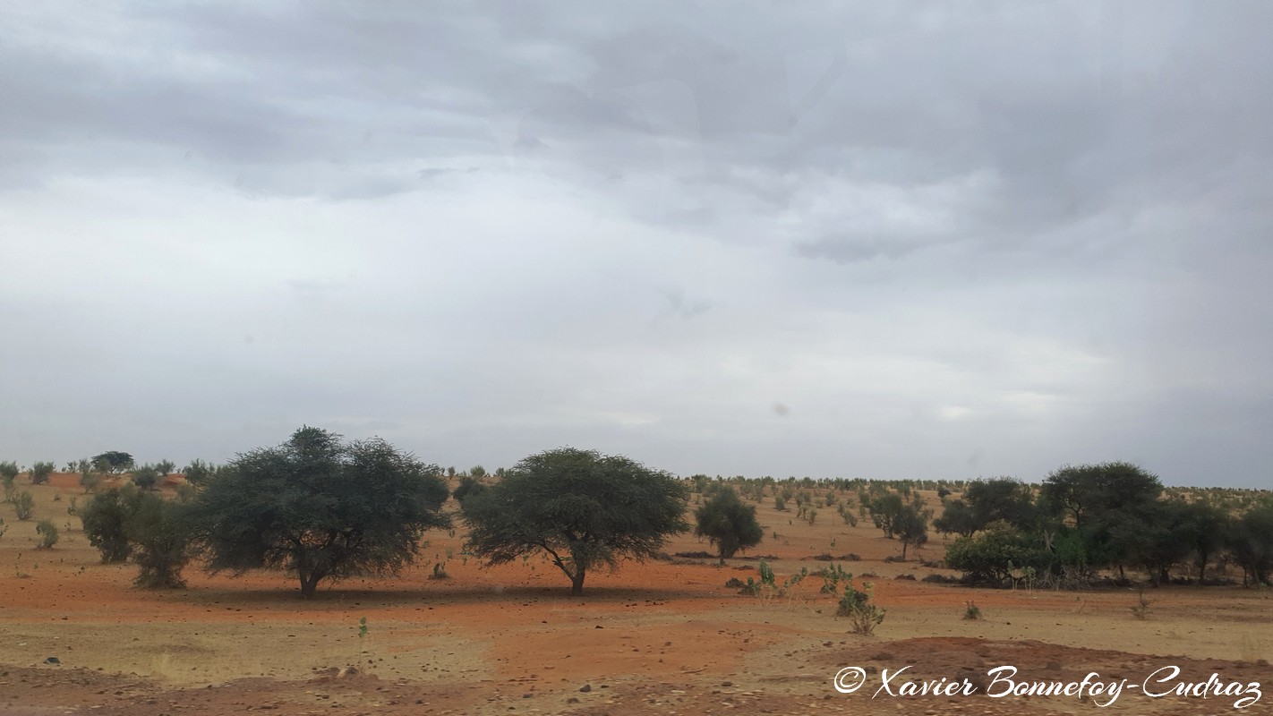 Kaṭaouâne
Mots-clés: geo:lat=15.90813679 geo:lon=-6.31258965 geotagged Hodh ech Chargui Kaṭaouâne Mauritanie MRT Desert