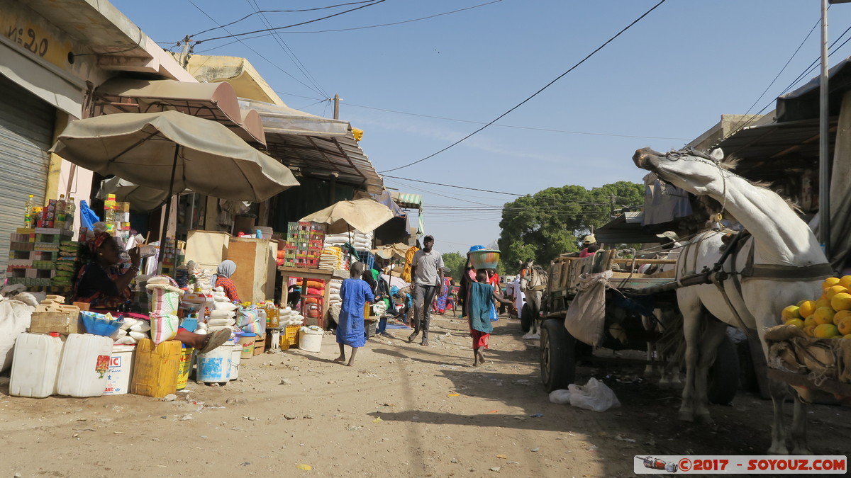 Saint-Louis - Marche Tendjiguen
Mots-clés: Diamaguene geo:lat=16.02465189 geo:lon=-16.49599046 geotagged Region Saint-Louis SEN Senegal Saint-Louis patrimoine unesco Marche Tendjiguen Marche personnes animals cheval