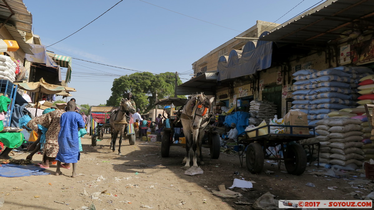 Saint-Louis - Marche Tendjiguen
Mots-clés: Diamaguene geo:lat=16.02465189 geo:lon=-16.49599046 geotagged Region Saint-Louis SEN Senegal Saint-Louis patrimoine unesco Marche Tendjiguen Marche personnes animals cheval