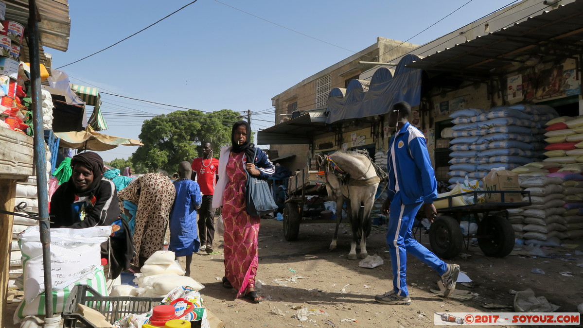 Saint-Louis - Marche Tendjiguen
Mots-clés: Diamaguene geo:lat=16.02465189 geo:lon=-16.49599046 geotagged Region Saint-Louis SEN Senegal Saint-Louis patrimoine unesco Marche Tendjiguen Marche personnes animals cheval