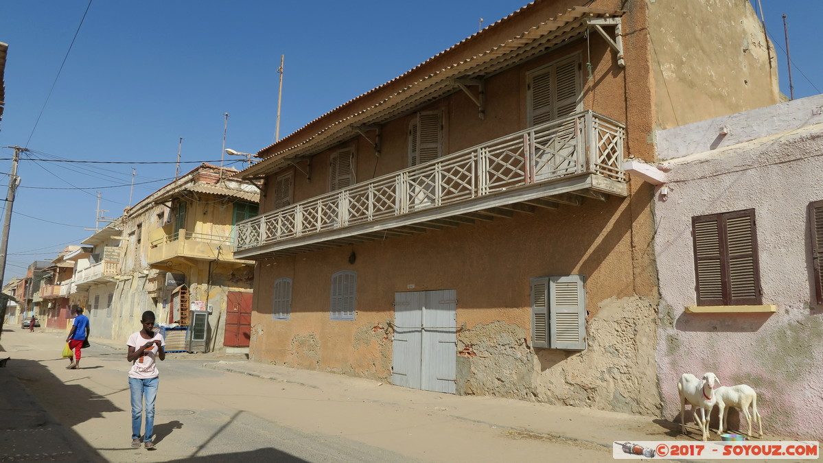 Saint-Louis - Rue de France
Mots-clés: geo:lat=16.02998309 geo:lon=-16.50483370 geotagged Region Saint-Louis SEN Senegal Sor Saint-Louis patrimoine unesco