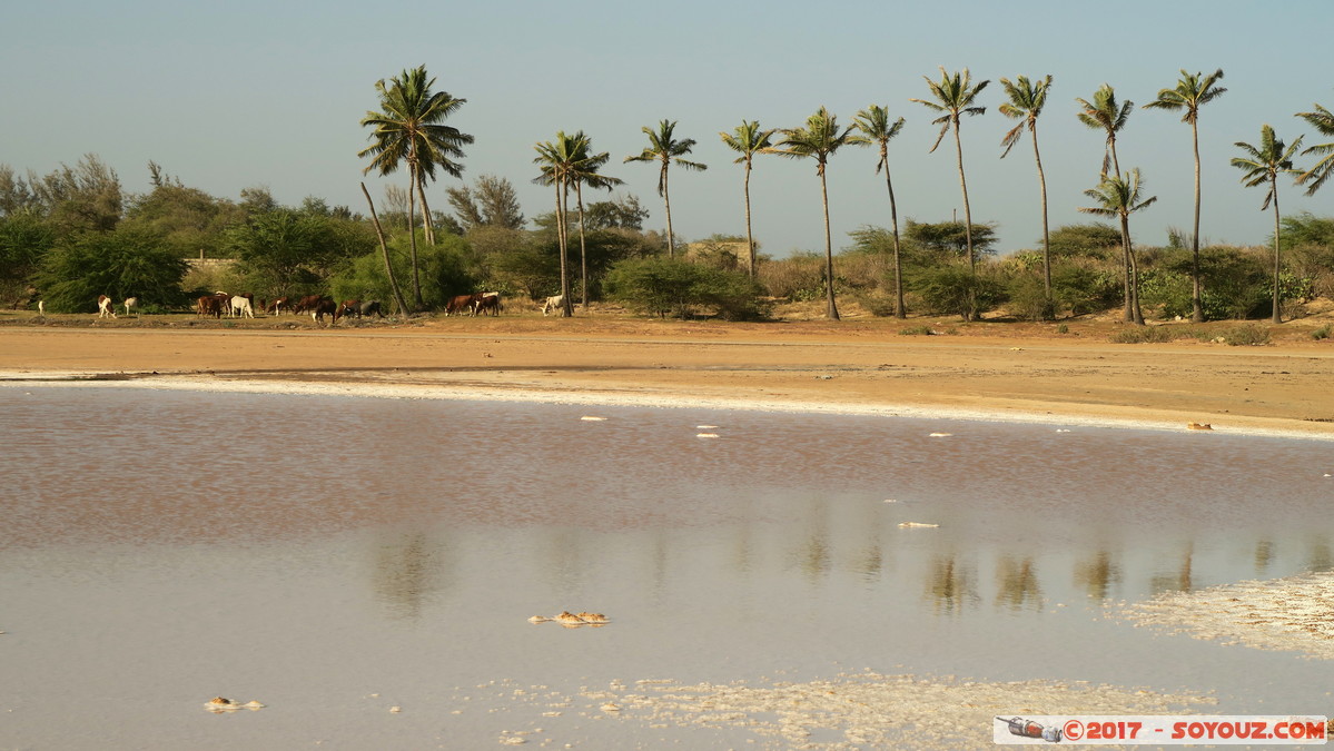 Gandiol - Lac de Ndiedene
Mots-clés: Gandiol geo:lat=15.89642558 geo:lon=-16.49580002 geotagged Region Saint-Louis SEN Senegal Lac