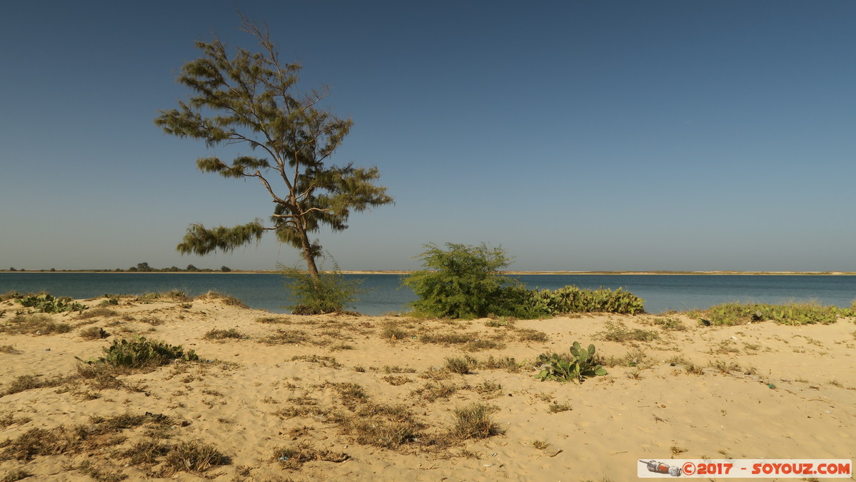 De Saint-Louis a Lompoul par la Plage
Mots-clés: Darou Mboumbaye geo:lat=15.83580015 geo:lon=-16.51614189 geotagged Region Saint-Louis SEN Senegal Mer Atlantique plage