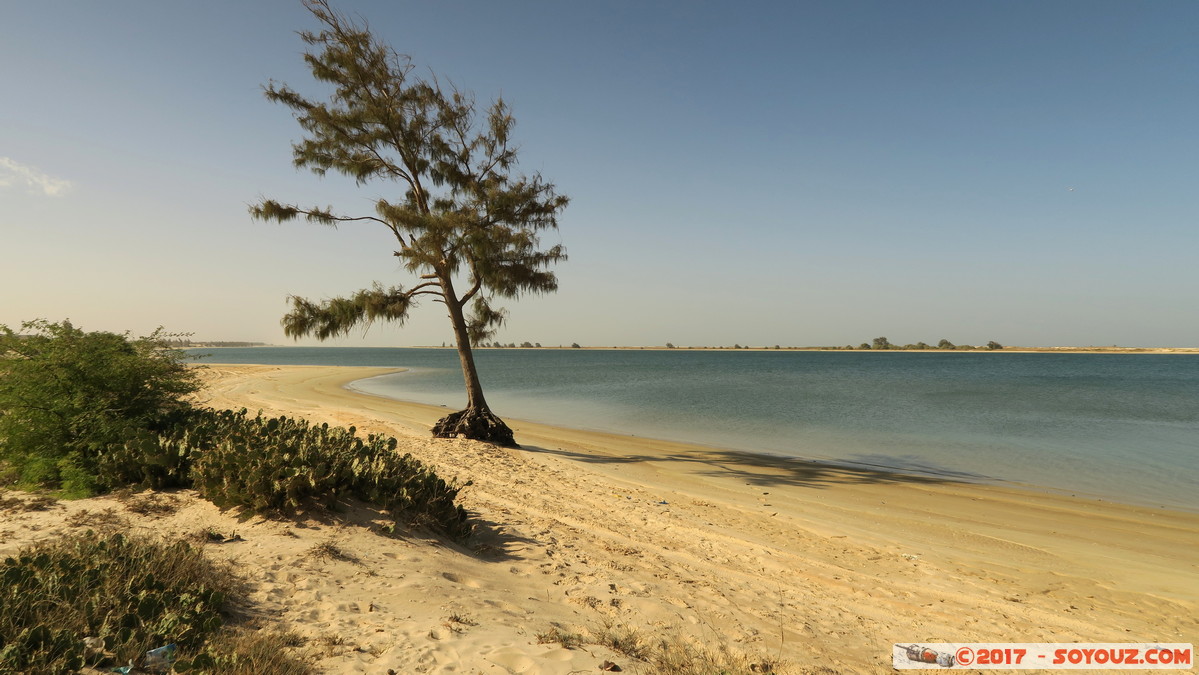 De Saint-Louis a Lompoul par la Plage
Mots-clés: Darou Mboumbaye geo:lat=15.83580015 geo:lon=-16.51614189 geotagged Region Saint-Louis SEN Senegal Mer Atlantique plage