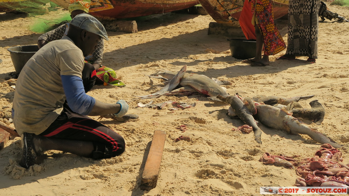 Tioukougne Peul - Retour de la peche
Mots-clés: geo:lat=15.44811155 geo:lon=-16.73316479 geotagged SEN Senegal Thiès Tioukougne Peul plage pecheur Requin