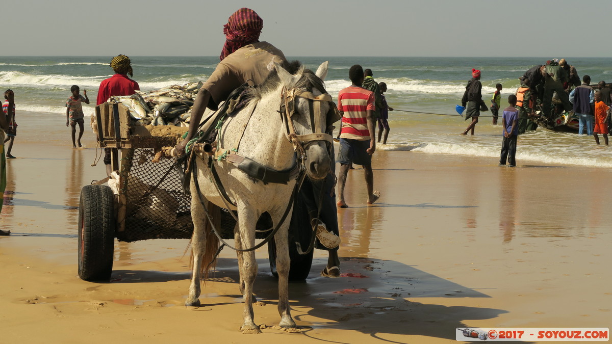 Tioukougne Peul - Retour de la peche
Mots-clés: geo:lat=15.44739283 geo:lon=-16.73365831 geotagged SEN Senegal Thiès Tioukougne Peul Mer plage animals cheval Atlantique