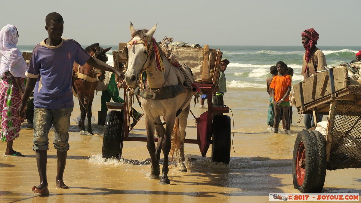 Tioukougne Peul - Retour de la peche
Mots-clés: geo:lat=15.44739283 geo:lon=-16.73365831 geotagged SEN Senegal Thiès Tioukougne Peul Mer plage pecheur animals cheval Atlantique