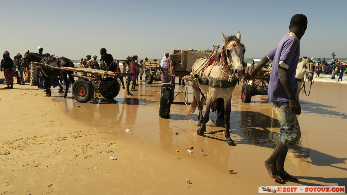 Tioukougne Peul - Retour de la peche
Mots-clés: geo:lat=15.44739283 geo:lon=-16.73365831 geotagged SEN Senegal Thiès Tioukougne Peul Mer plage bateau pecheur animals cheval Atlantique