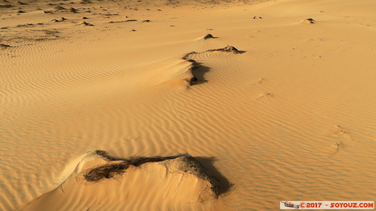 Desert de Lompoul
Mots-clés: geo:lat=15.45929528 geo:lon=-16.68868303 geotagged SEN Senegal Thiès Tioukougne Peul Désert de Lompoul Desert