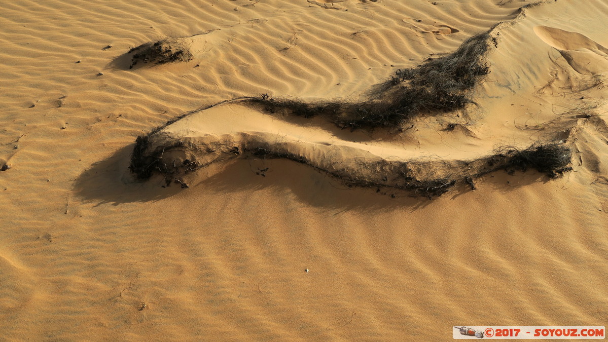 Desert de Lompoul
Mots-clés: geo:lat=15.45929528 geo:lon=-16.68868303 geotagged SEN Senegal Thiès Tioukougne Peul Désert de Lompoul Desert