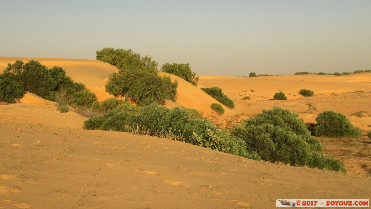 Desert de Lompoul
Mots-clés: geo:lat=15.45959516 geo:lon=-16.69102192 geotagged SEN Senegal Thiès Tioukougne Peul Désert de Lompoul Desert