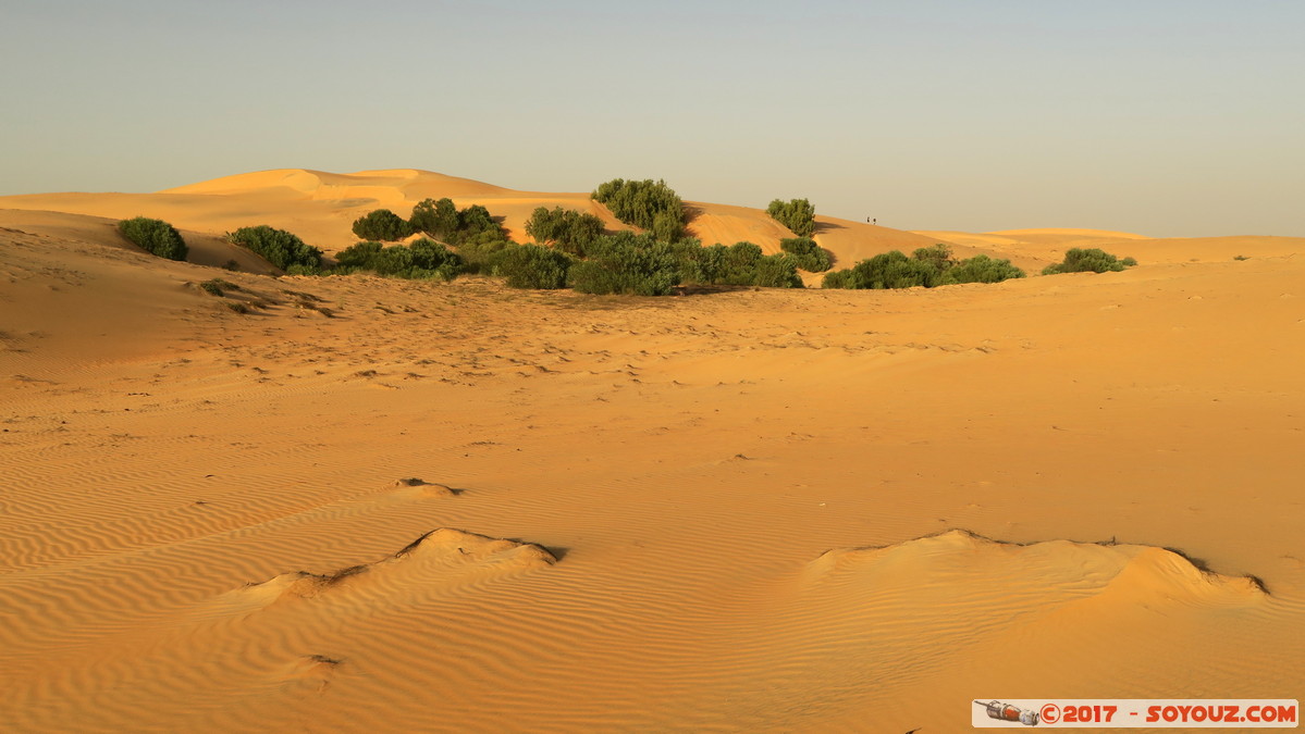 Desert de Lompoul
Mots-clés: geo:lat=15.45849905 geo:lon=-16.69089317 geotagged SEN Senegal Thiès Tioukougne Peul Désert de Lompoul Desert