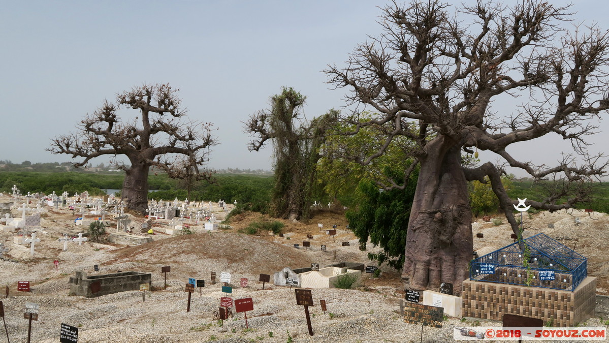 Cimetiere Chretien et Musukman de Fadiouth
Mots-clés: geo:lat=14.15642548 geo:lon=-16.82541132 geotagged Joal-Fadiout SEN Senegal Thiès Ile de Fadiouth cimetiere Arbres Baobab